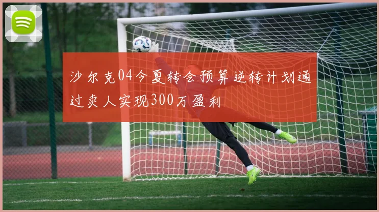 沙尔克04今夏转会预算逆转计划通过卖人实现300万盈利