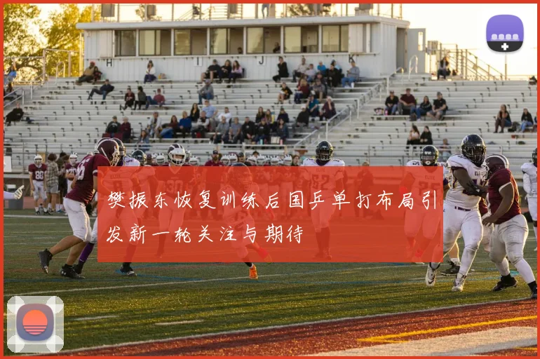 樊振东恢复训练后国乒单打布局引发新一轮关注与期待