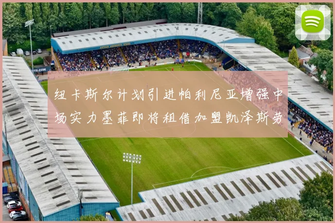 纽卡斯尔计划引进帕利尼亚增强中场实力墨菲即将租借加盟凯泽斯劳滕